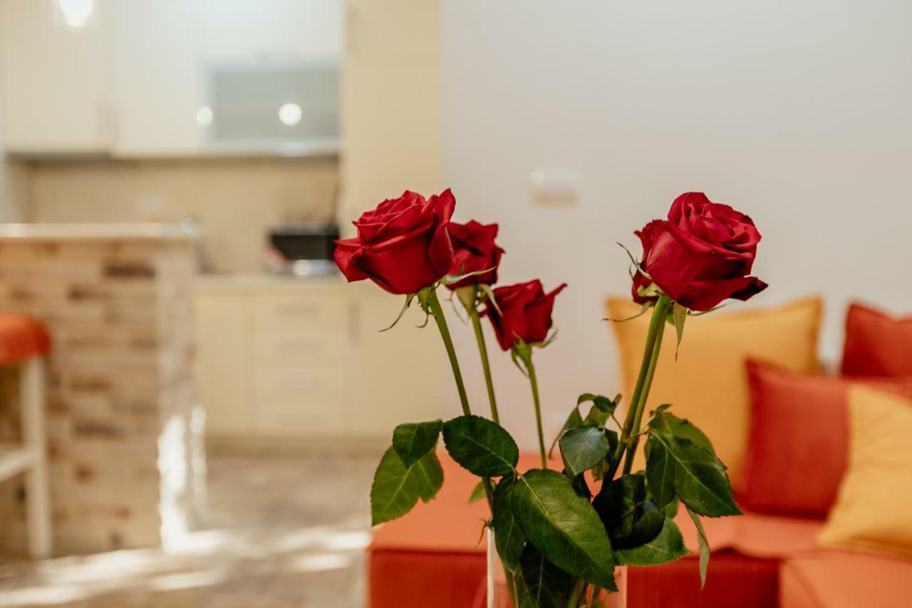 Bobana Apartments ดอนิมอรินิ ภายนอก รูปภาพ